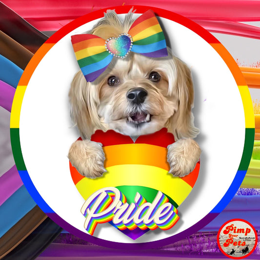 Pride 2023 Profile Picture for Instagram