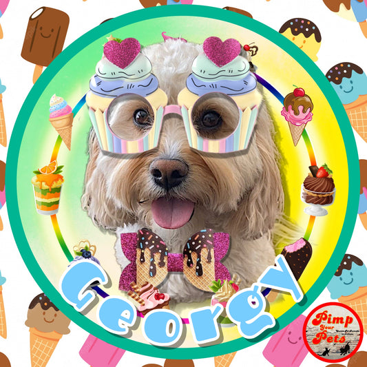 Summer Ice Cream Profile Picture for Instagram