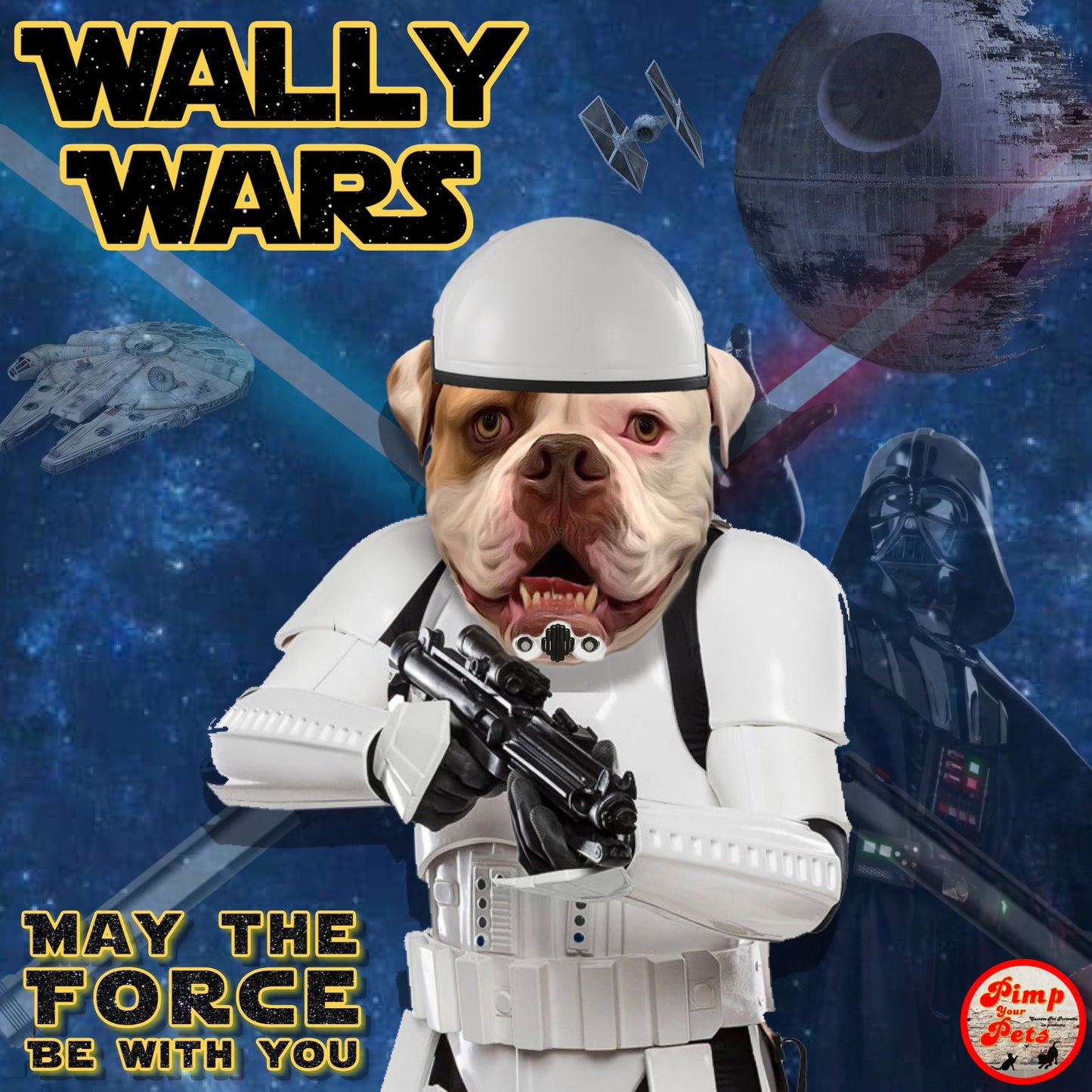 Storm trooper style star wars
