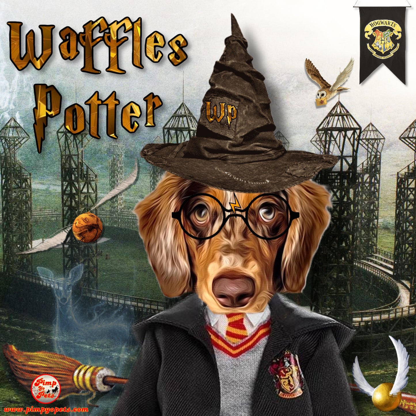 Doggy Potter Theme Pet Portraits on Canvas