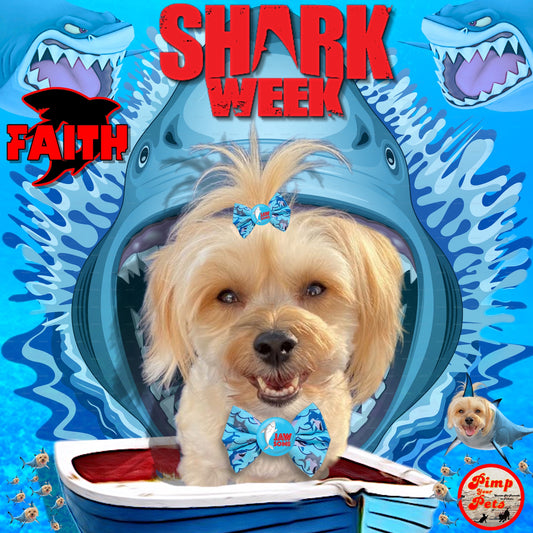 Shark Week Digital File