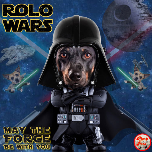 Darth Vader Dog Star wars